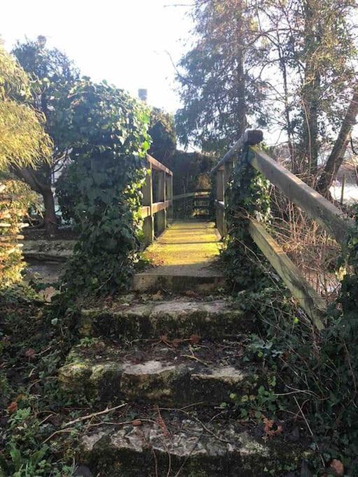 Eco-Friendly Dorset Cottage With Spa Set In Heart Of Countryside Sydling St Nicholas Exterior photo